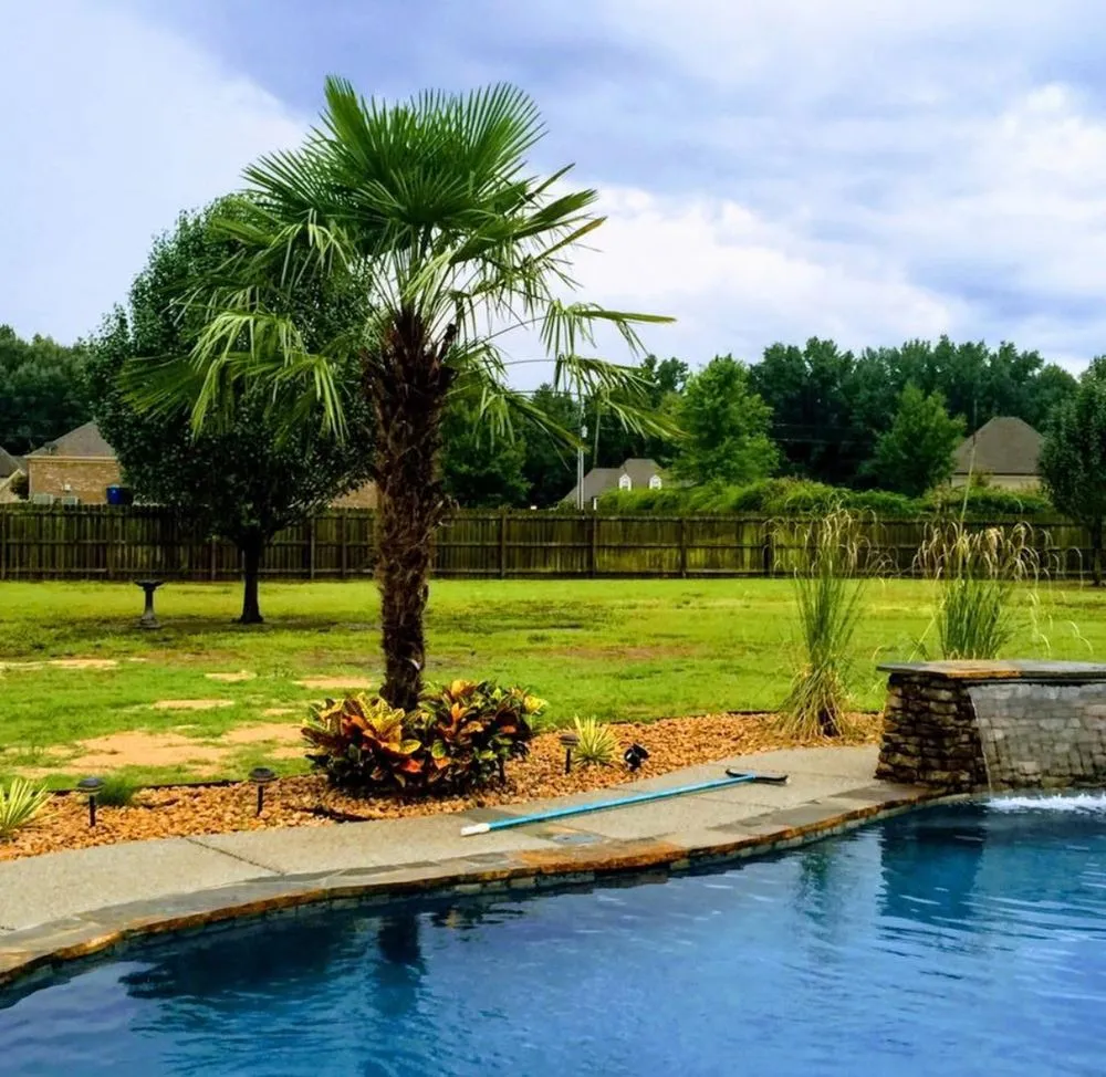 Top-rated yard maintenance near you in Rossville, TN by Tropical Landscapes