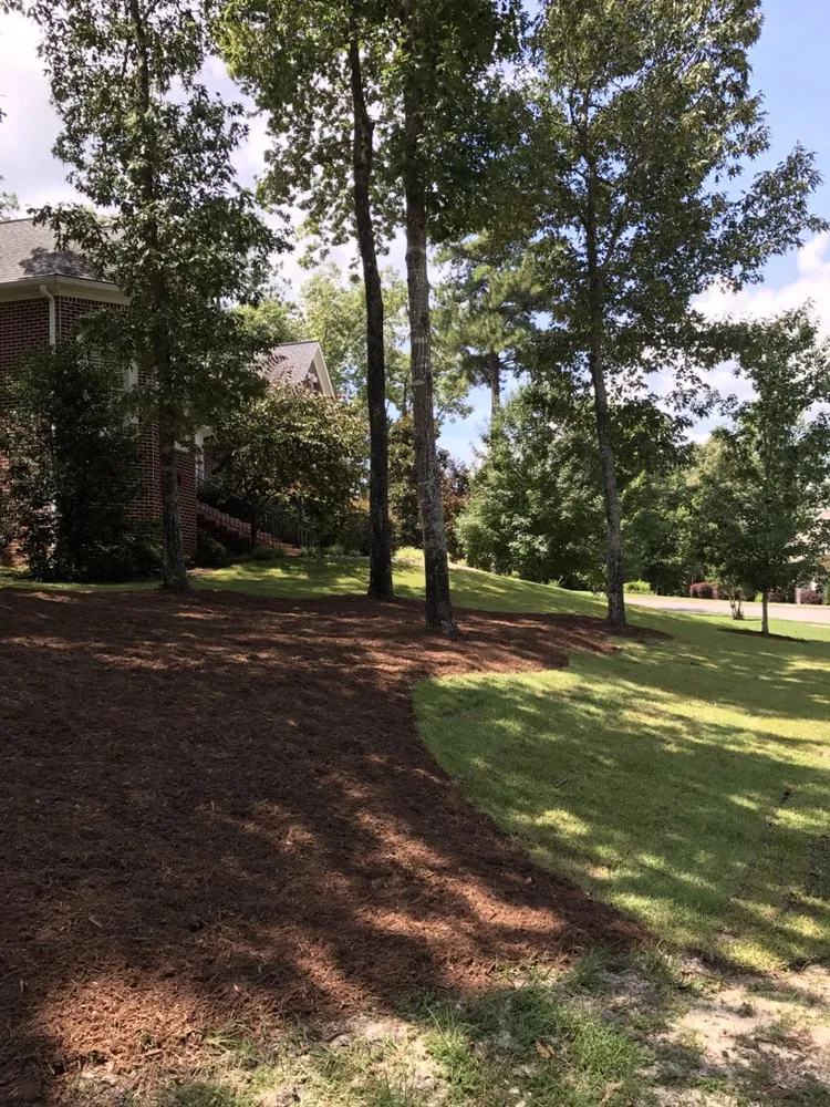 Custom residential landscaping for year-round maintenance across Aiken, SC - Tropical Landscaping