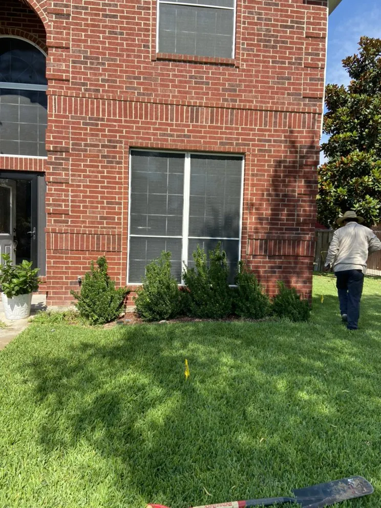 Top-rated landscaping services for outdoor upgrades in Fort Worth, TX by Tropical Landscaping