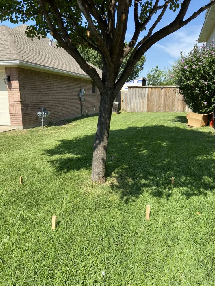 Professional yard cleanup service for year-round maintenance across Fort Worth, TX - Tropical Landscaping