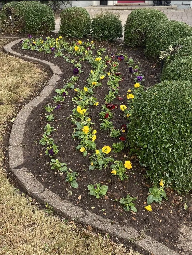 Affordable residential landscaping in Fort Worth, TX - Tropical Landscaping