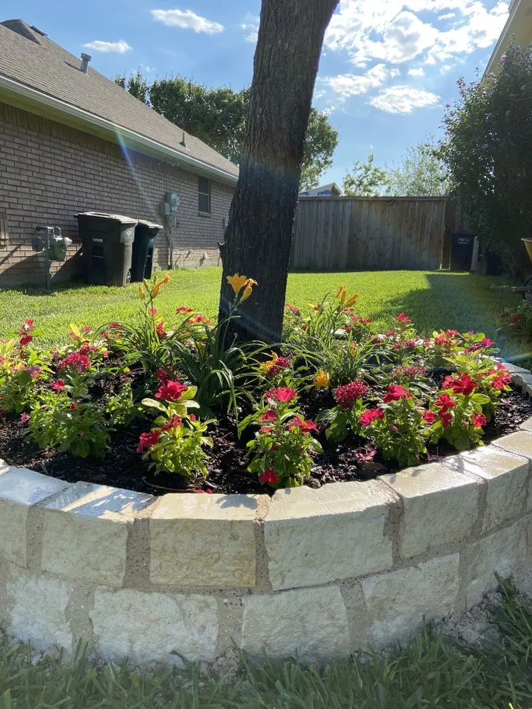 Local lawn care service for year-round maintenance in Fort Worth, TX by Tropical Landscaping