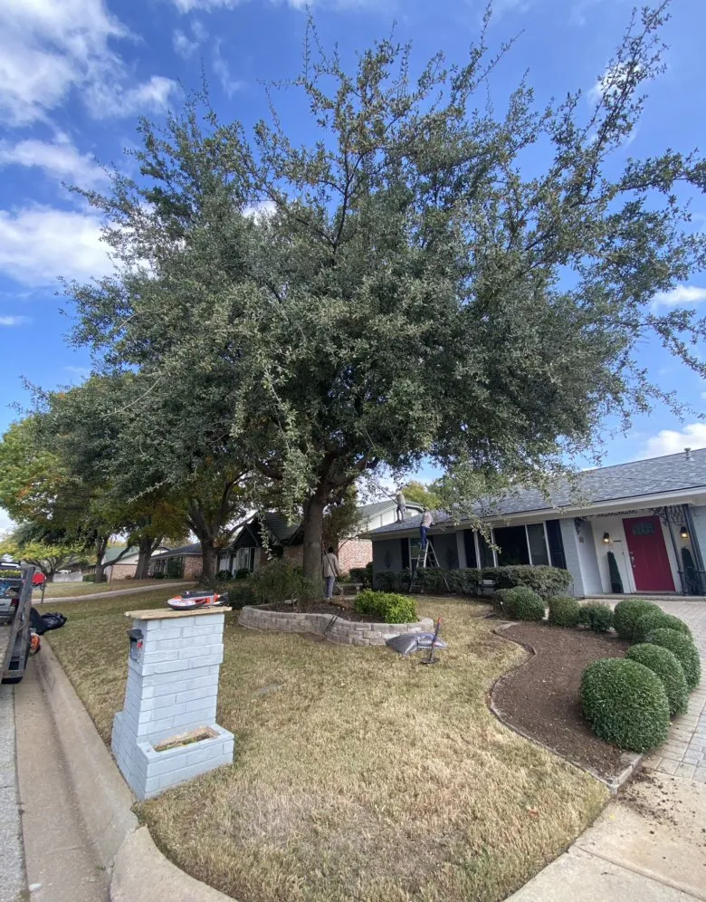 Local outdoor landscaping near you in Fort Worth, TX by Tropical Landscaping