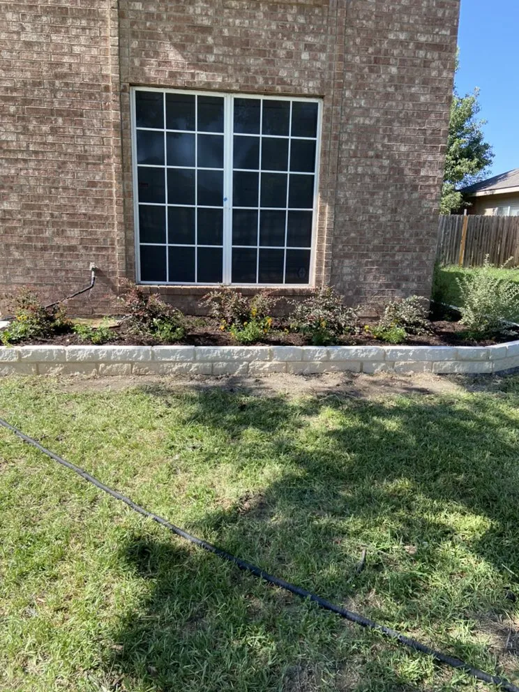 Trusted yard cleanup service experts serving Fort Worth, TX - Tropical Landscaping