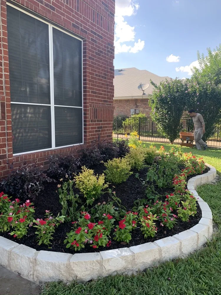 Local lawn mowing service experts serving Fort Worth, TX - Tropical Landscaping