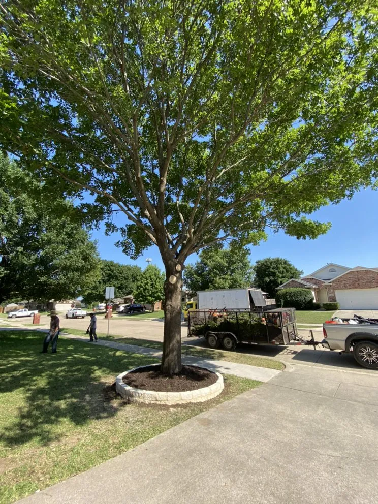 Top-rated outdoor landscaping for outdoor upgrades in Fort Worth, TX by Tropical Landscaping