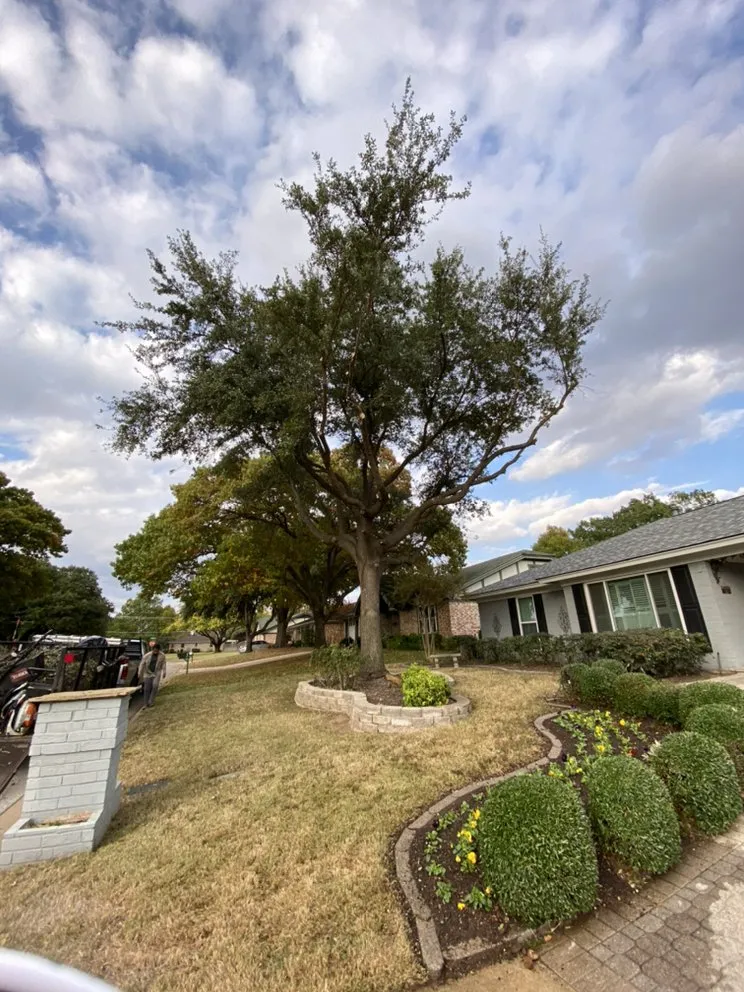 Trusted residential landscaping near you across Fort Worth, TX - Tropical Landscaping