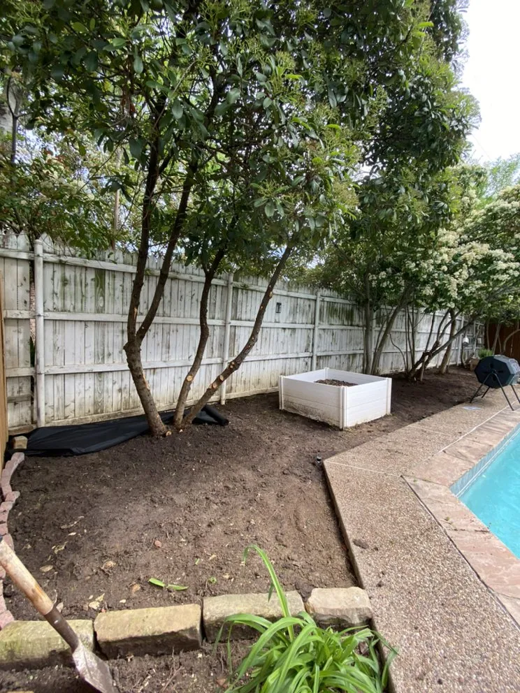 Top-rated landscape design in Fort Worth, TX - Tropical Landscaping