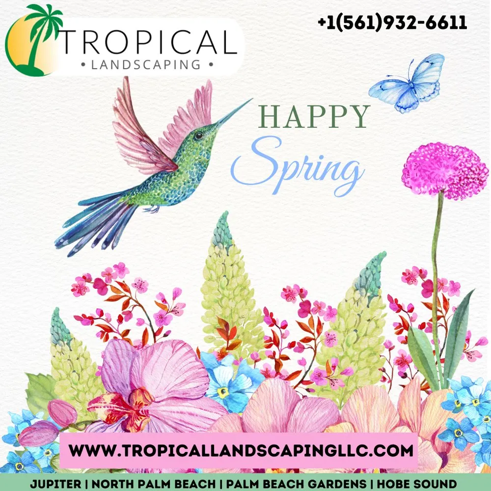 Custom lawn mowing service in Jupiter, FL - Tropical Landscaping