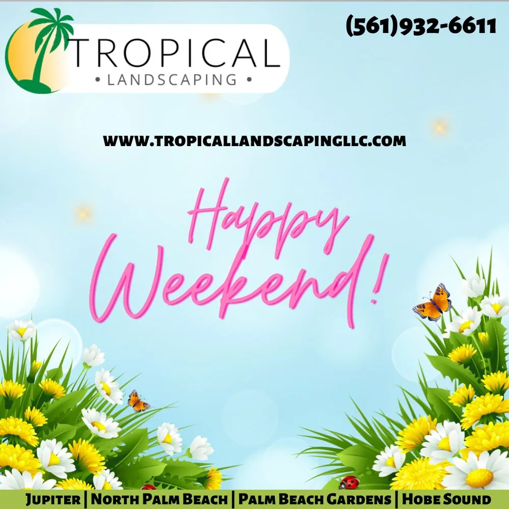 Custom residential landscaping for beautiful yards in Jupiter, FL by Tropical Landscaping