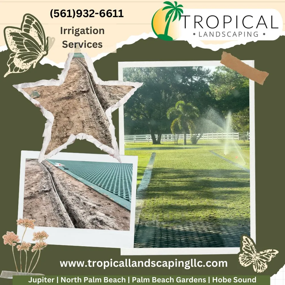 Reliable lawn mowing service for residential properties in Jupiter, FL by Tropical Landscaping