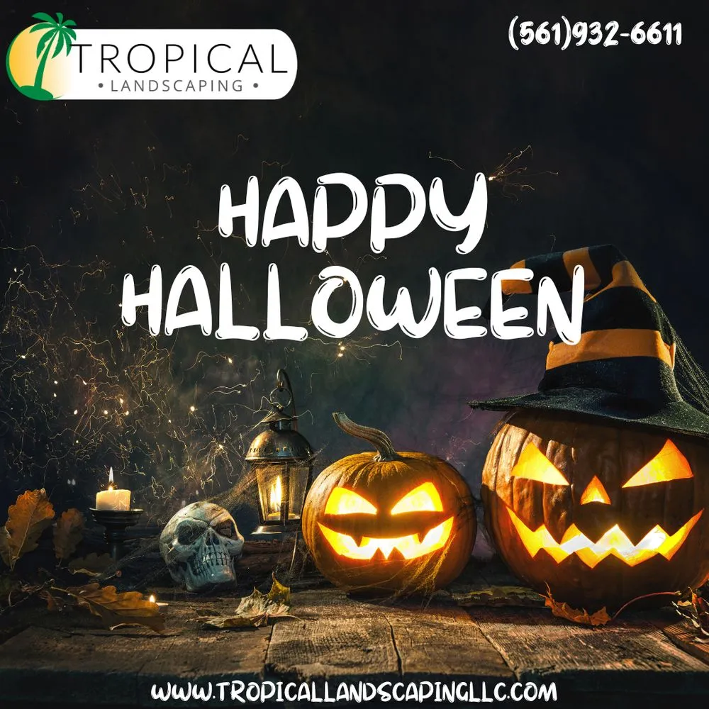 Affordable garden landscaping in Jupiter, FL by Tropical Landscaping