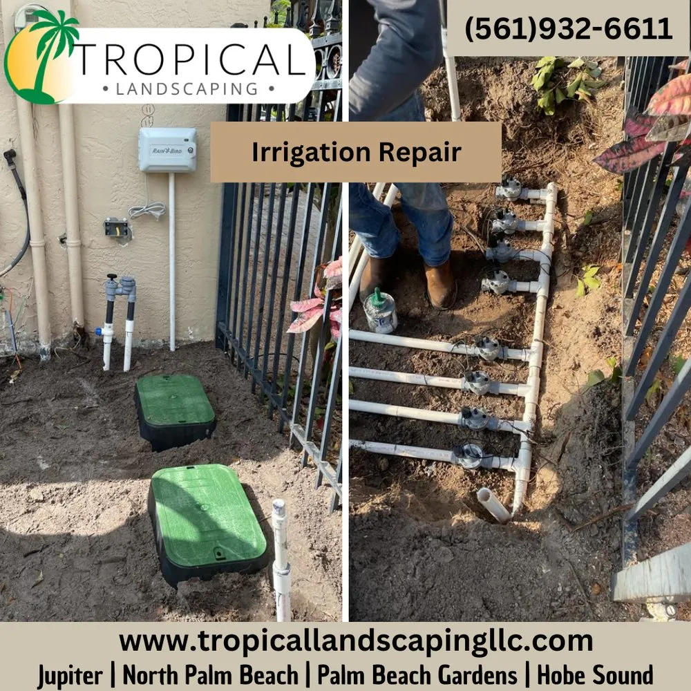 Affordable yard maintenance for year-round maintenance across Jupiter, FL - Tropical Landscaping