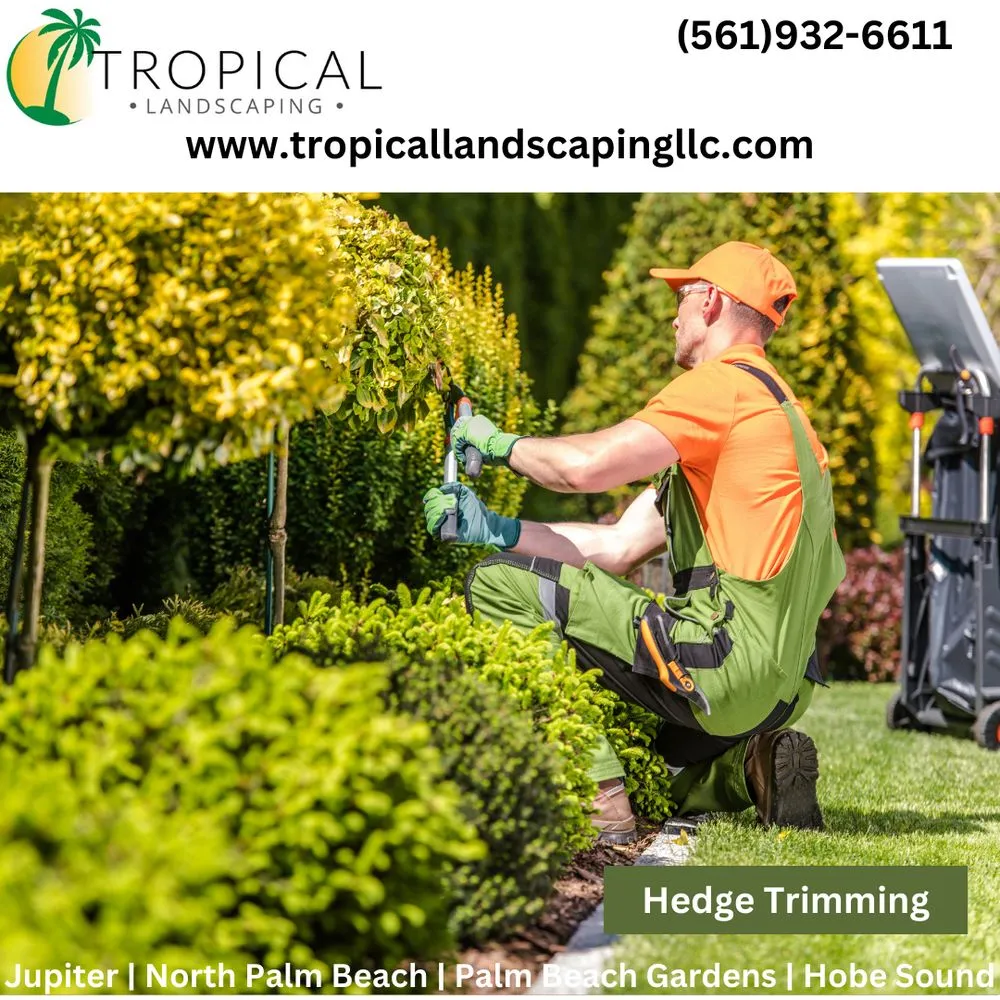 Top-rated outdoor landscaping for beautiful yards across Jupiter, FL - Tropical Landscaping