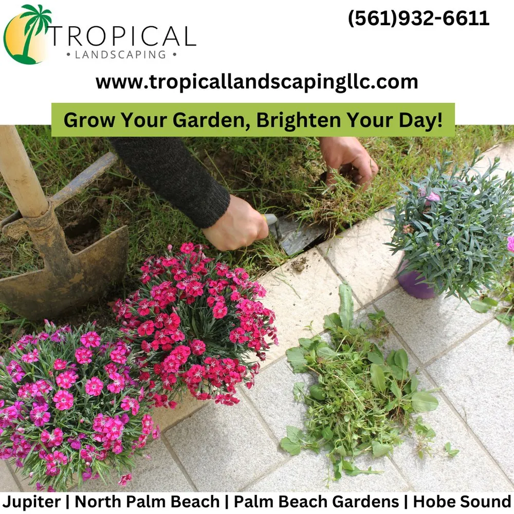 Professional landscape installation experts serving Jupiter, FL - Tropical Landscaping