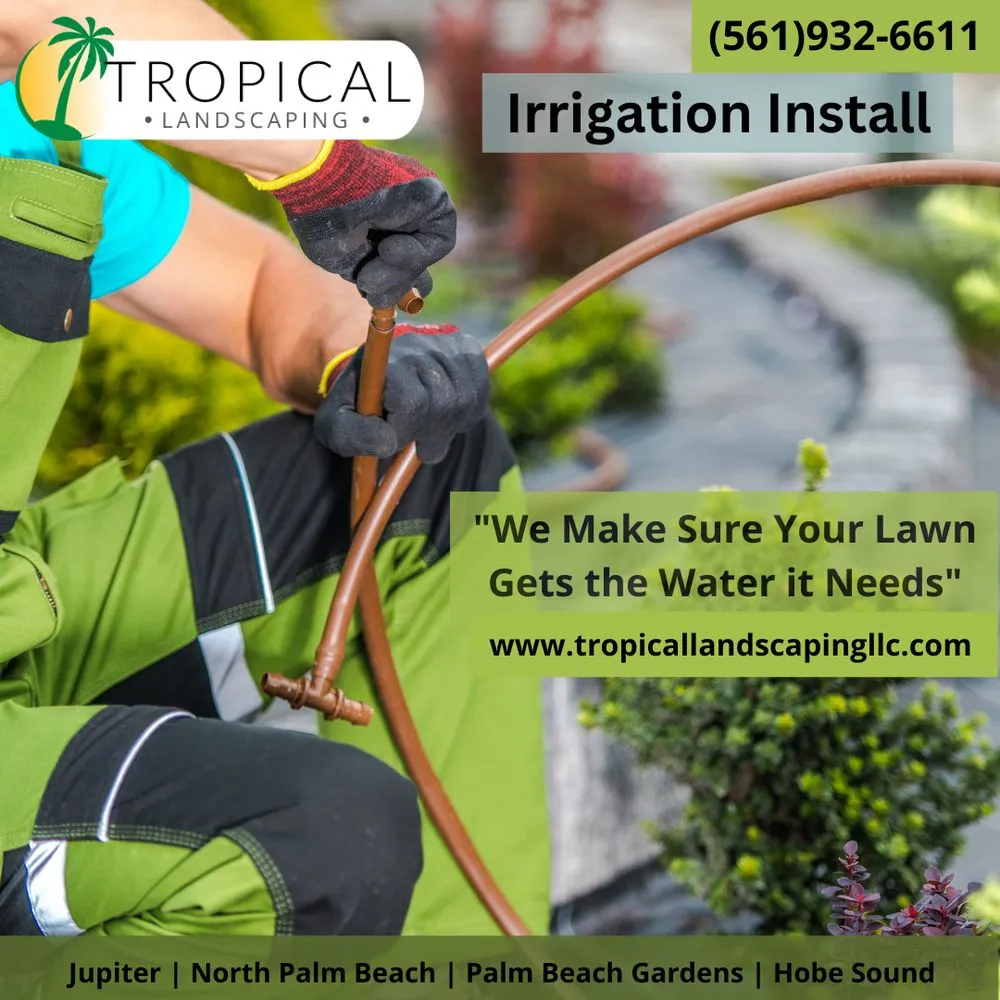 Expert outdoor landscaping experts serving Jupiter, FL - Tropical Landscaping