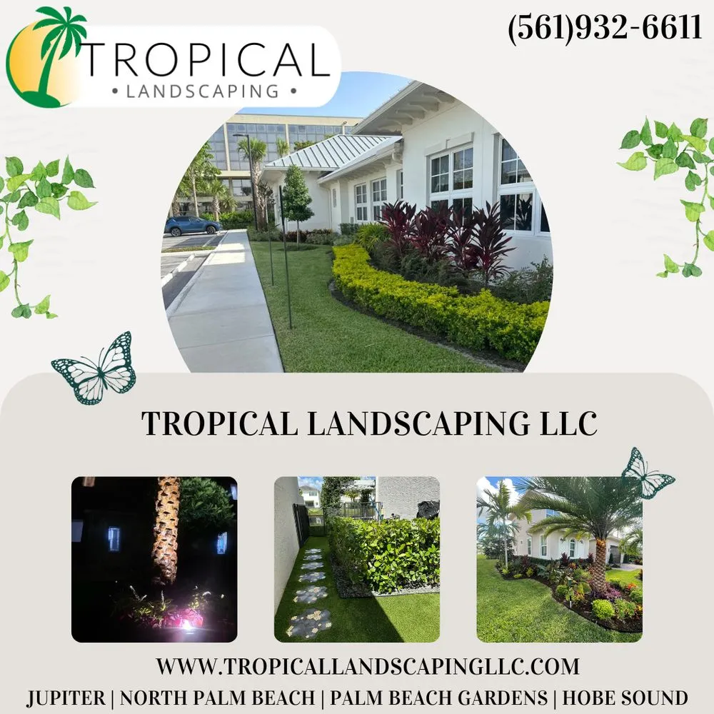Top-rated landscape design for homes in Jupiter, FL by Tropical Landscaping