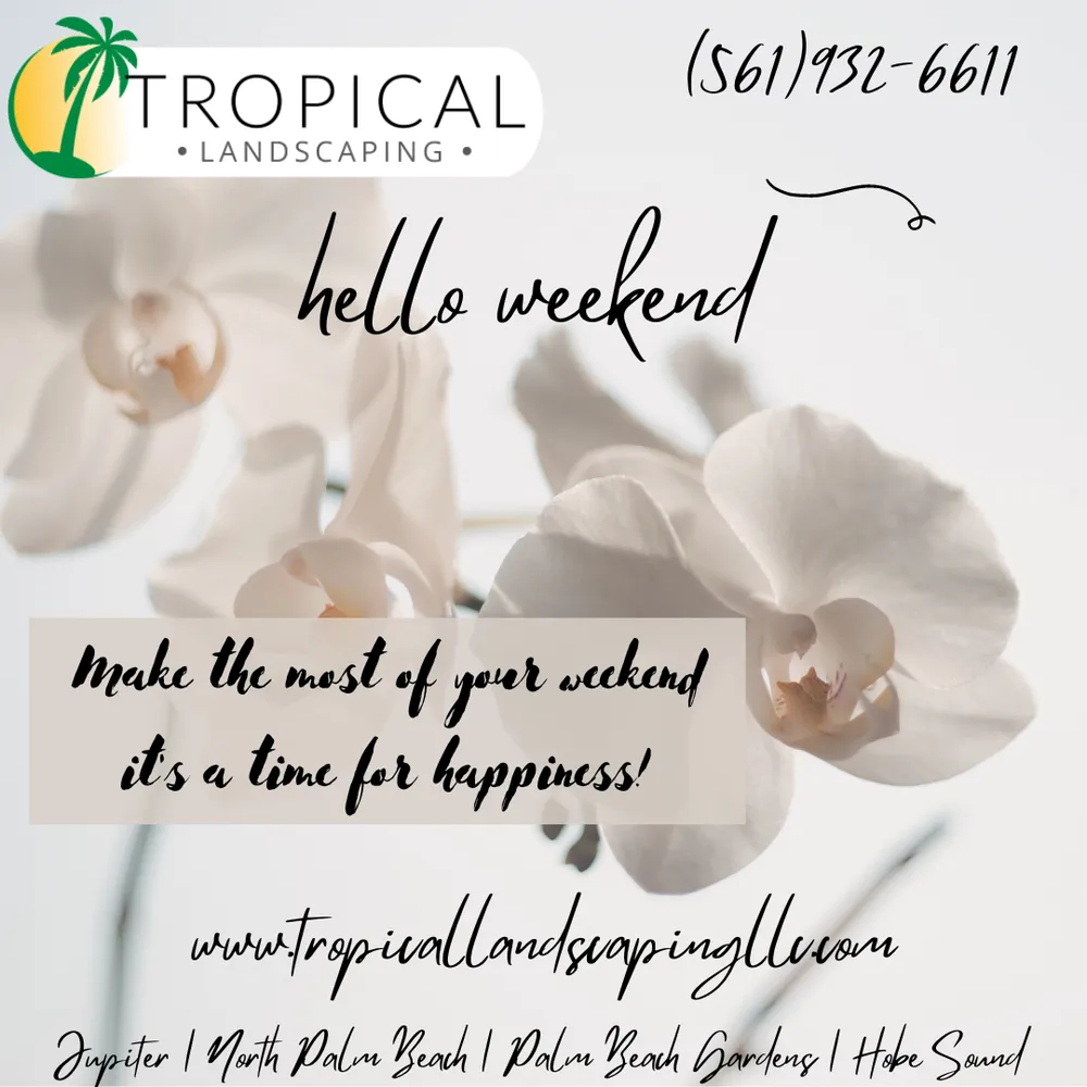 Reliable yard cleanup service near you in Jupiter, FL by Tropical Landscaping