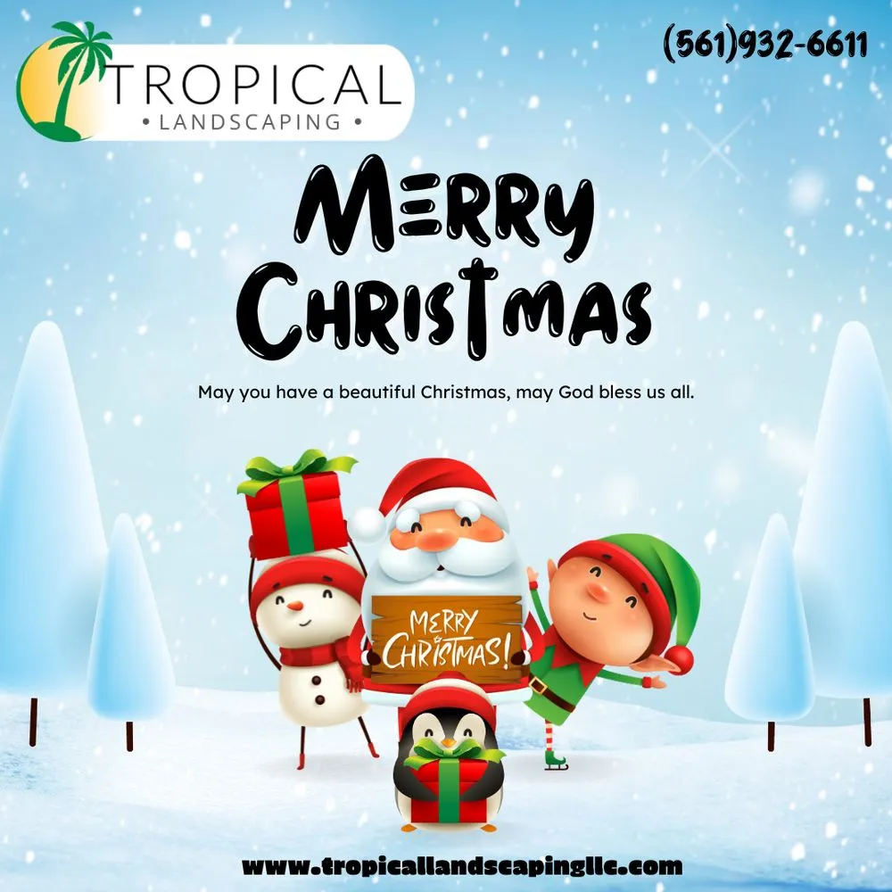 Affordable yard maintenance experts serving Jupiter, FL - Tropical Landscaping