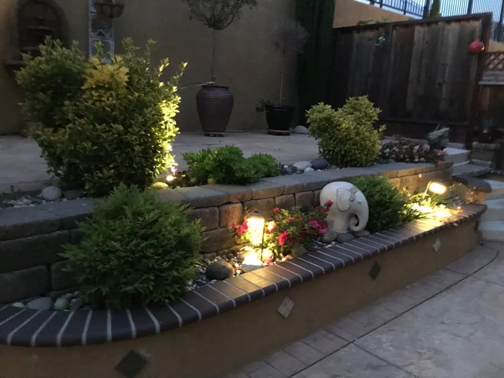 Expert residential landscaping for homes across Pleasanton, CA - Tropical Landscaping