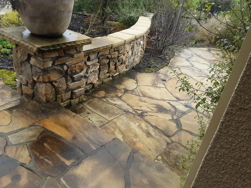 Expert yard maintenance in Pleasanton, CA by Tropical Landscaping