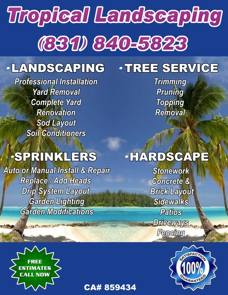 Affordable landscape design for year-round maintenance in Salinas, CA by Tropical Landscaping