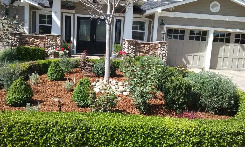Affordable landscape design near you in Salinas, CA by Tropical Landscaping