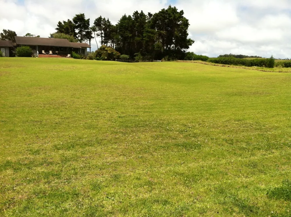 Affordable residential landscaping for homes across Kamuela, HI - Tropical Lawn Care