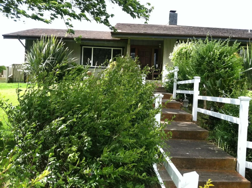 Affordable outdoor landscaping experts serving Kamuela, HI - Tropical Lawn Care