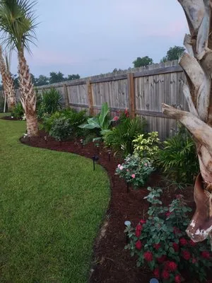 Tropical Lawn Care Logo