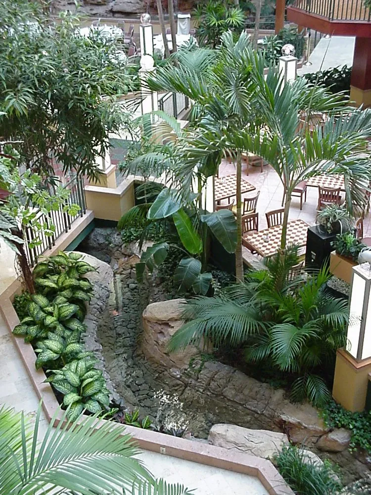 Reliable garden landscaping for beautiful yards in Tampa, FL by Tropical Nature