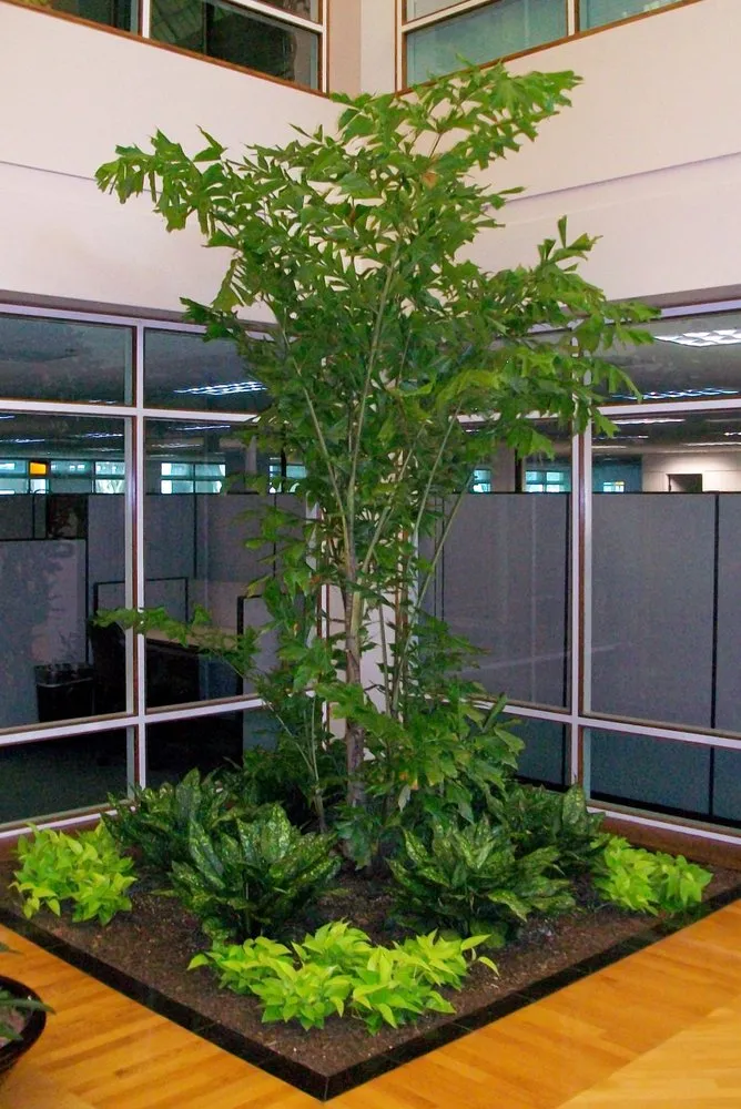 Local lawn care service experts serving Tampa, FL - Tropical Nature