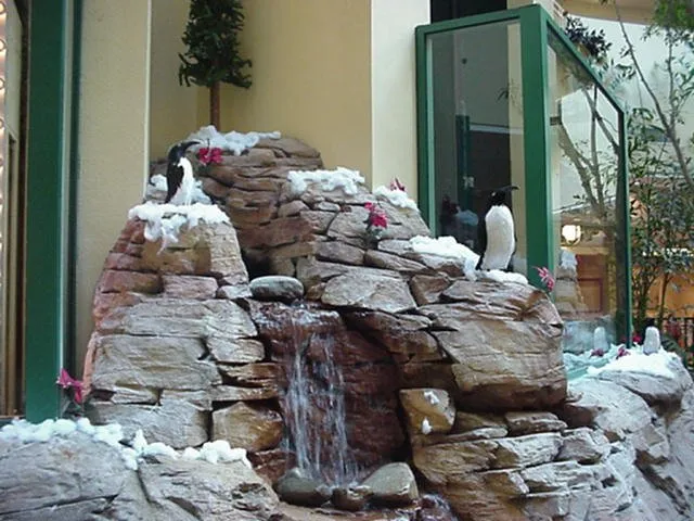 Professional landscape design in Tampa, FL - Tropical Nature