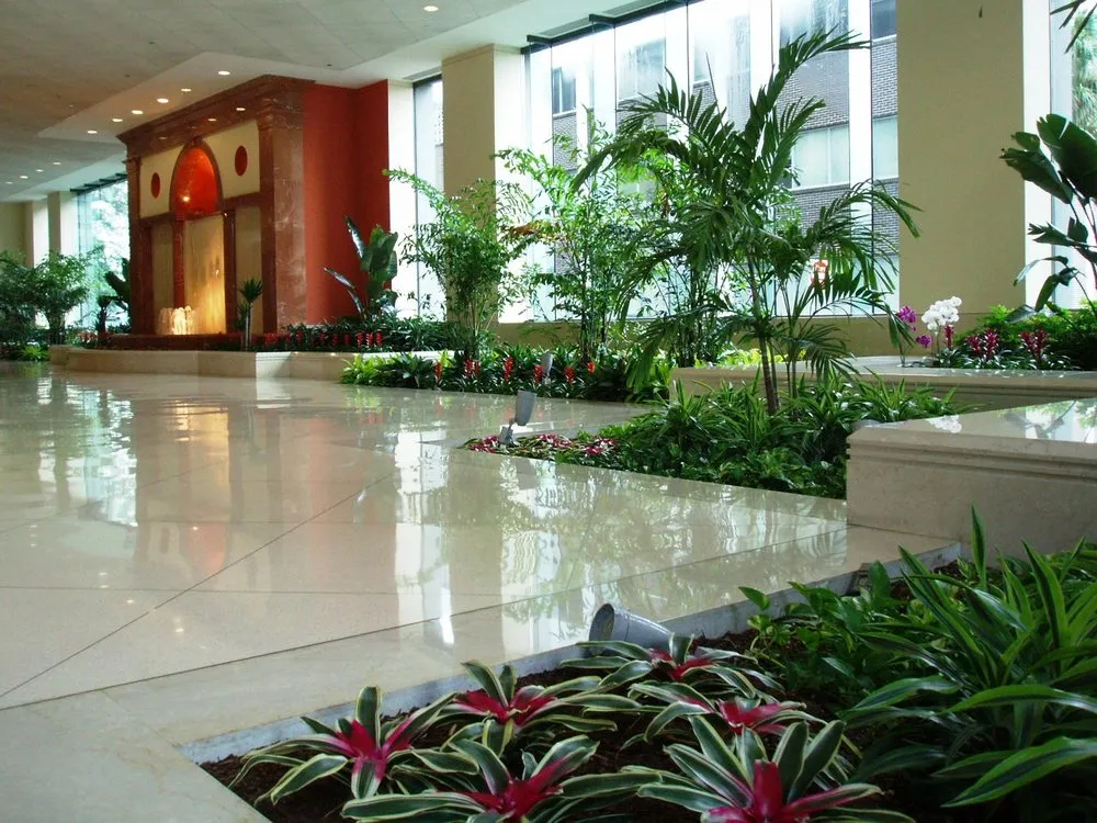 Top-rated landscape design for year-round maintenance across Tampa, FL - Tropical Nature