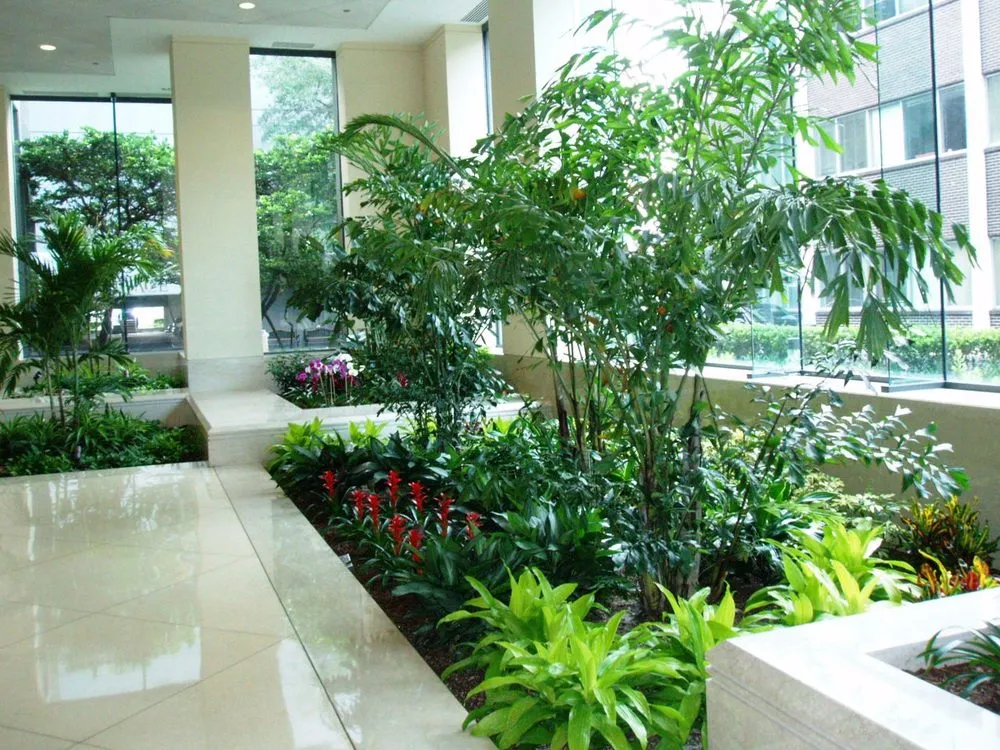 Reliable lawn mowing service in Tampa, FL by Tropical Nature