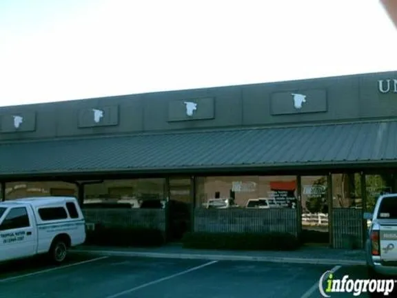 Trusted landscape design in Tampa, FL - Tropical Nature