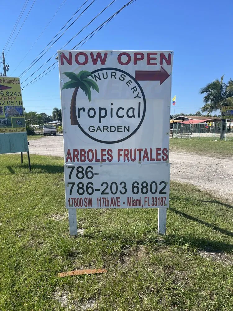 Custom landscape installation for year-round maintenance across Miami, FL - Tropical Nursery Garden