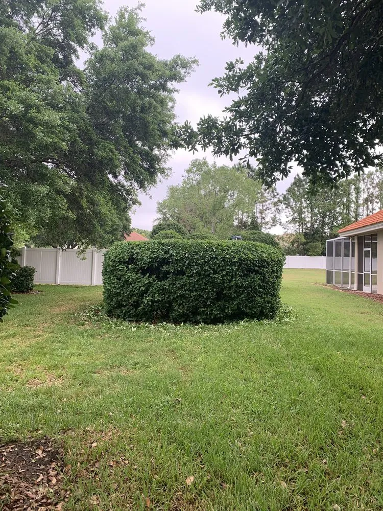 Affordable lawn mowing service experts serving Palm Harbor, FL - Tropical Oasis Landscaping