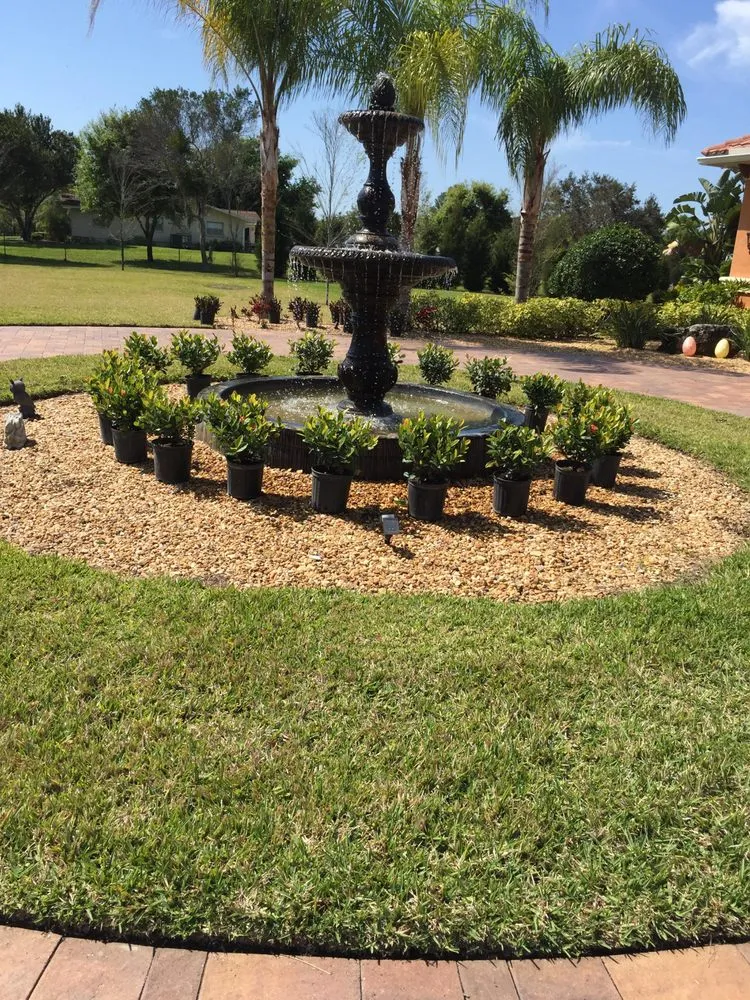 Expert lawn care service in Palm Harbor, FL - Tropical Oasis Landscaping