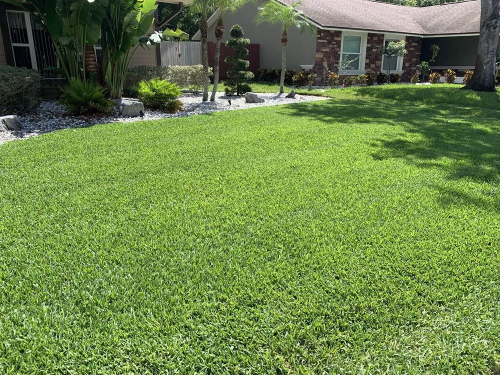 Expert landscape design in Palm Harbor, FL - Tropical Oasis Landscaping