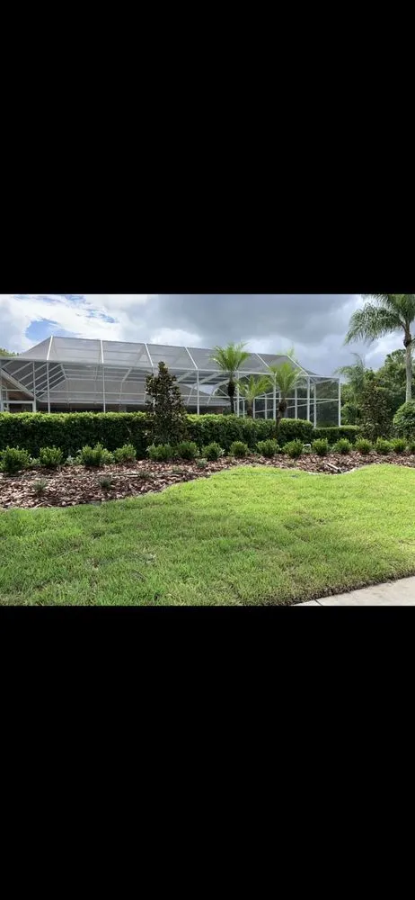 Expert landscaping services experts serving Palm Harbor, FL - Tropical Oasis Landscaping