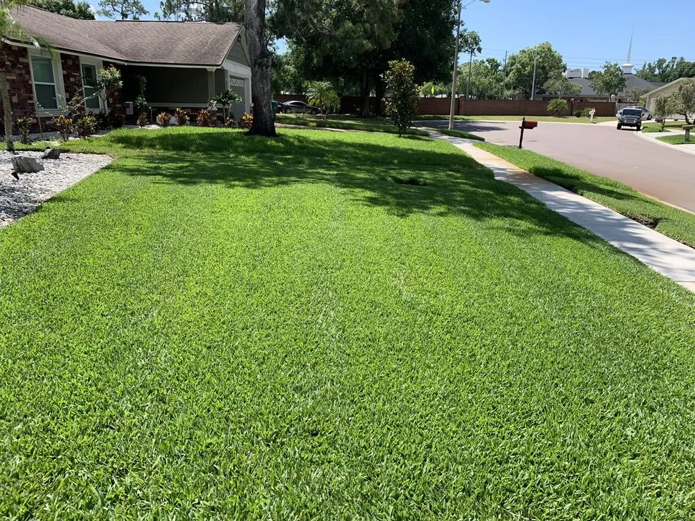 Top-rated landscape design for residential properties across Palm Harbor, FL - Tropical Oasis Landscaping