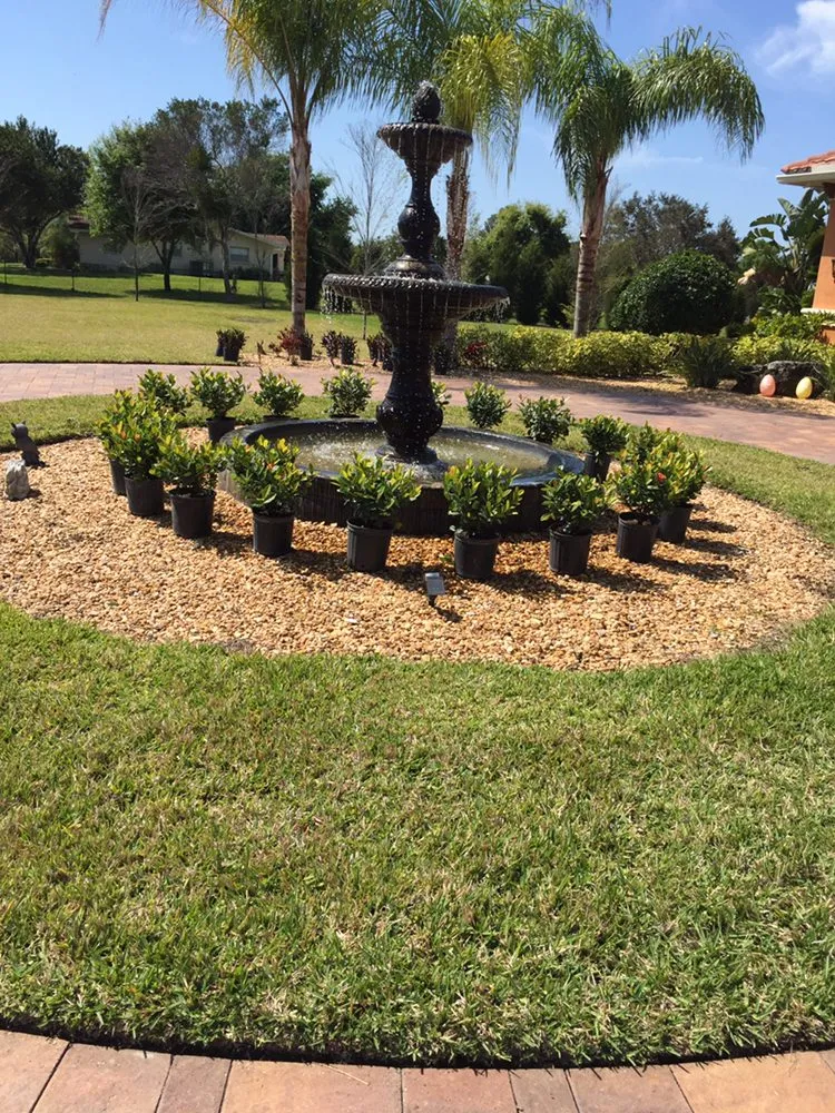 Reliable residential landscaping in Palm Harbor, FL - Tropical Oasis Landscaping