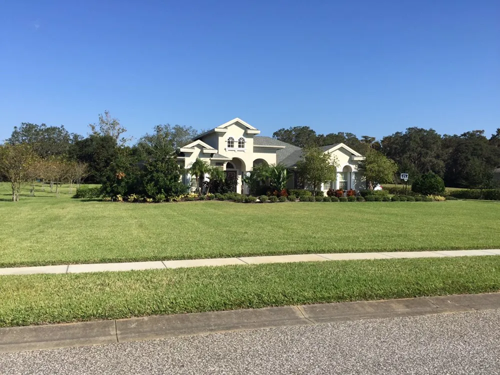 Trusted outdoor landscaping for homes across Palm Harbor, FL - Tropical Oasis Landscaping