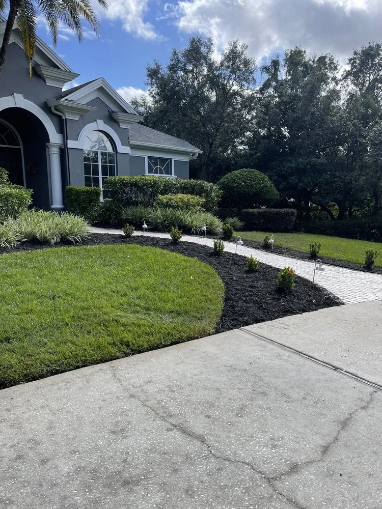 Top-rated lawn care service in Palm Harbor, FL - Tropical Oasis Landscaping