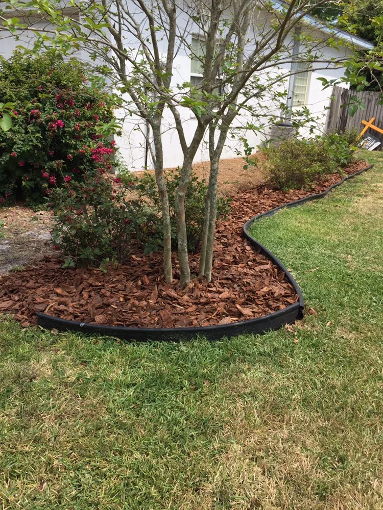 Local landscape design for year-round maintenance in Palm Harbor, FL by Tropical Oasis Landscaping
