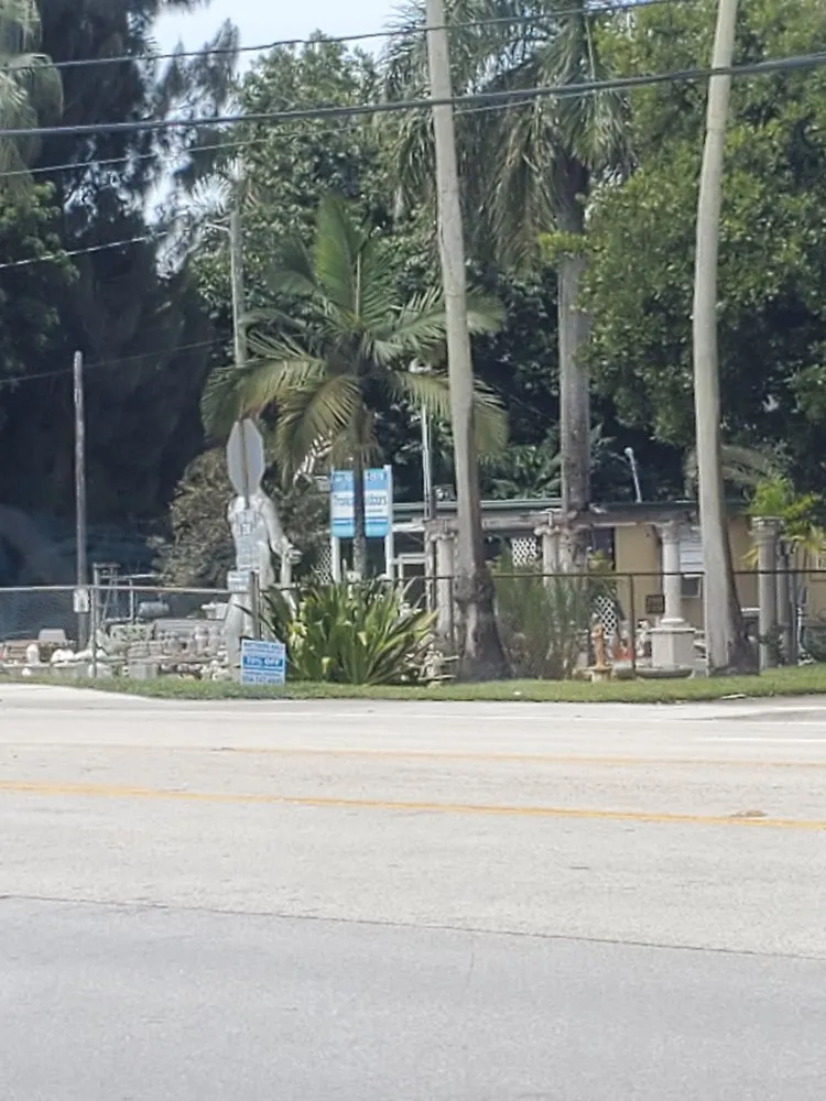 Trusted yard cleanup service in Davie, FL by Tropical Outdoors