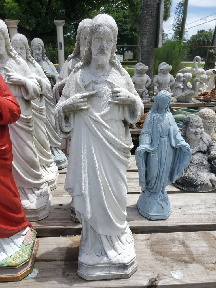 Local yard cleanup service experts serving Davie, FL - Tropical Outdoors