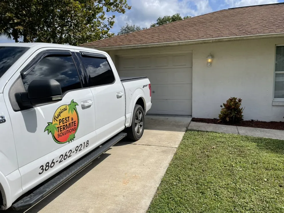 Local yard cleanup service experts serving Edgewater, FL - Tropical Pest & Termite Solutions