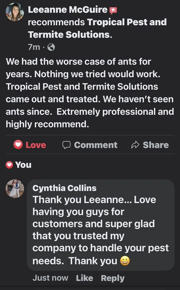 Affordable residential landscaping in Edgewater, FL - Tropical Pest & Termite Solutions